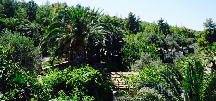 Cesme Koy