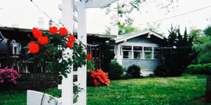 Pungo Pizza & Ice Cream