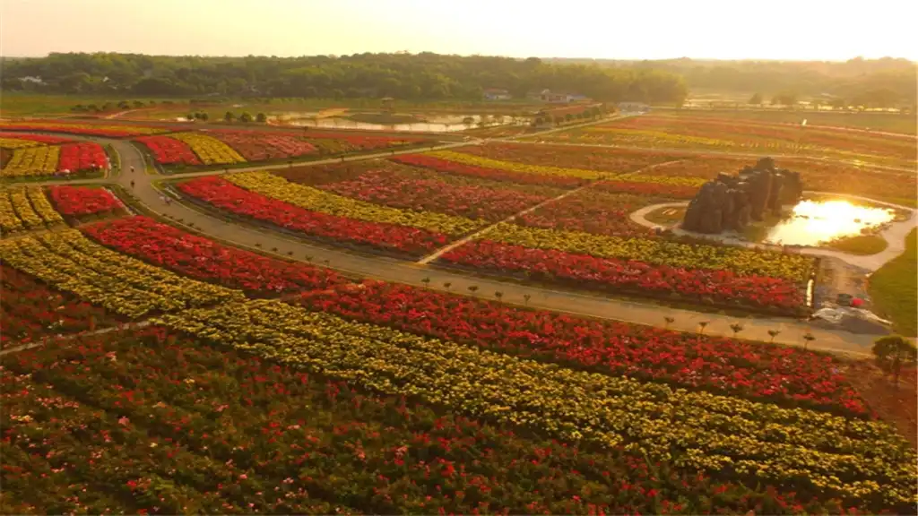 Hotels near Dongting Flower Sea