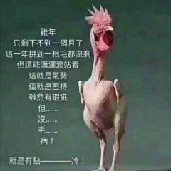 甘英泡鸡脚店 User Photo