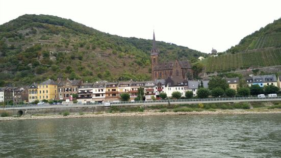 萊茵河的中上游的賓根至BONN是德國風景最美的河流，沿路有無