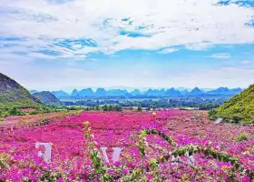 Guilin Flower Sea