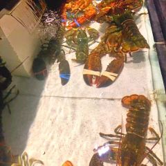 Red Lobster User Photo