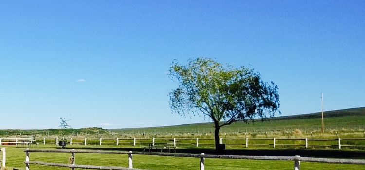 The Narrows RV Park and Restaurant