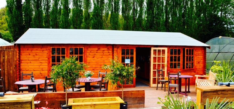 Blossom's Coffee Shed