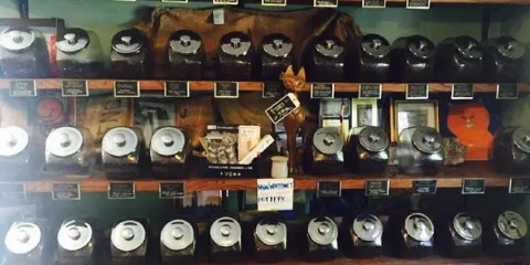 Orange Cat Coffee Co