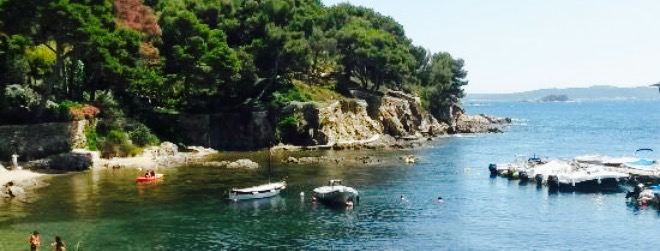 Le Poisson rouge