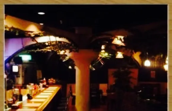 Restaurant Bar Cats