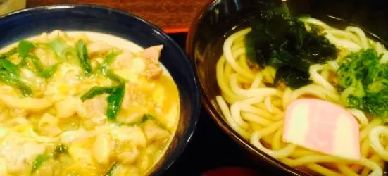 Tokutoku Udon Shin Minoo