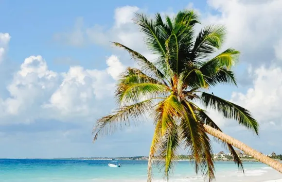 El Paraiso Beach Club & Restaurant