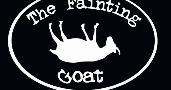The Fainting Goat