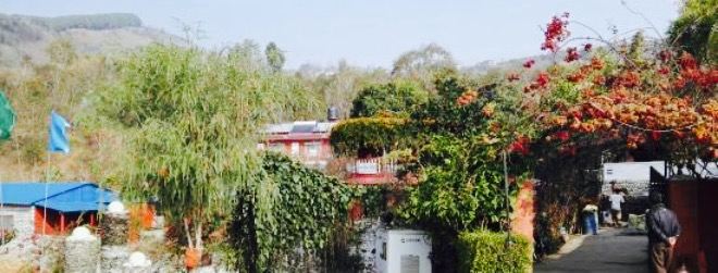 Rose Resort