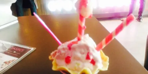 Cream Stone Ice Cream Concepts