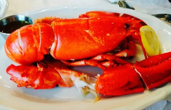 Sophia's Fine Dining at the Eriksen Premises