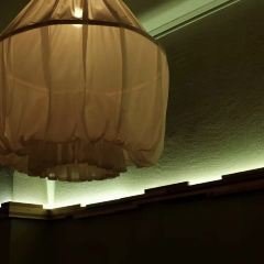 Restaurant Demo User Photo