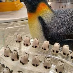 Emperor Penguin All Day Dining User Photo