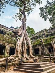 Ta Prohm Temple