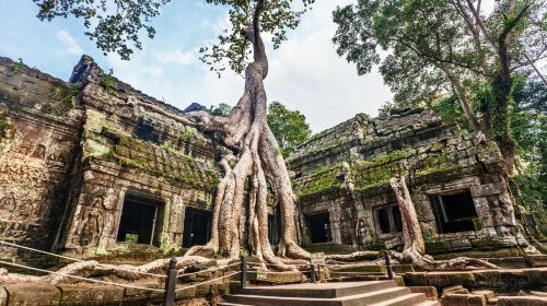 Ta Prohm Temple