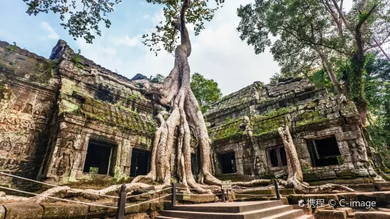 Ta Prohm Temple