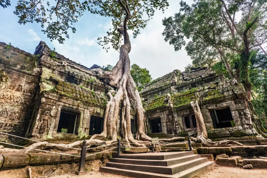 Ta Prohm Temple