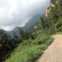 PENG XIN LAMB NATIONAL User Photo
