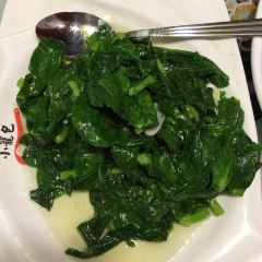 Shanghai You Garden 上海豫园 User Photo