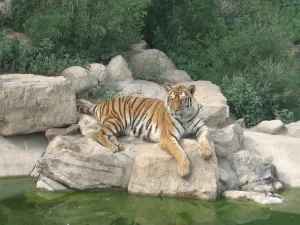 Shijiazhuang Zoo