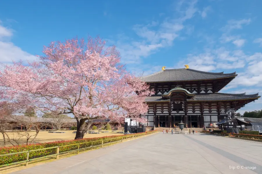 東大寺