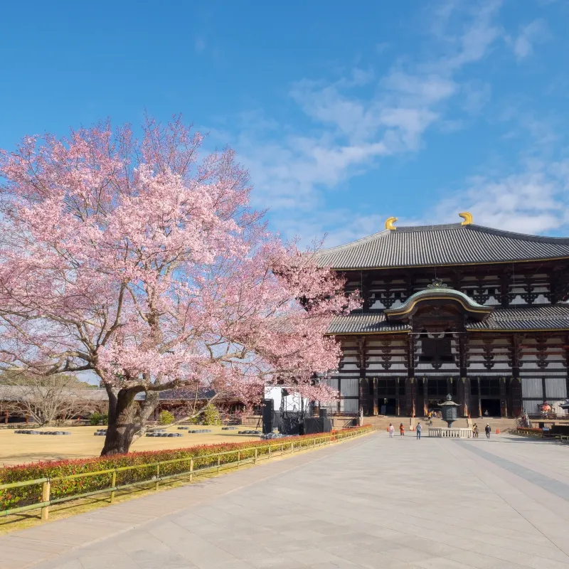 東大寺