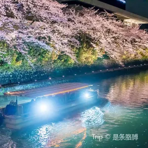 岡崎さくら回廊十石舟めぐり(岡崎十石舟)Okazaki Jikkokubune Boat Ride※春季限定(2024年は運航終了、次回は2025年3月下旬)