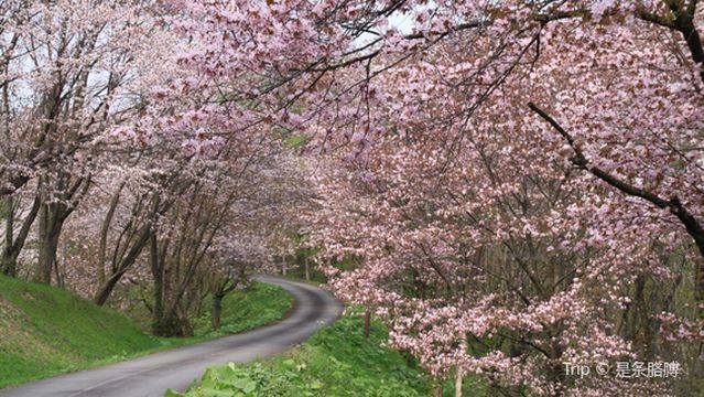 Niwayama Forest Natural Park