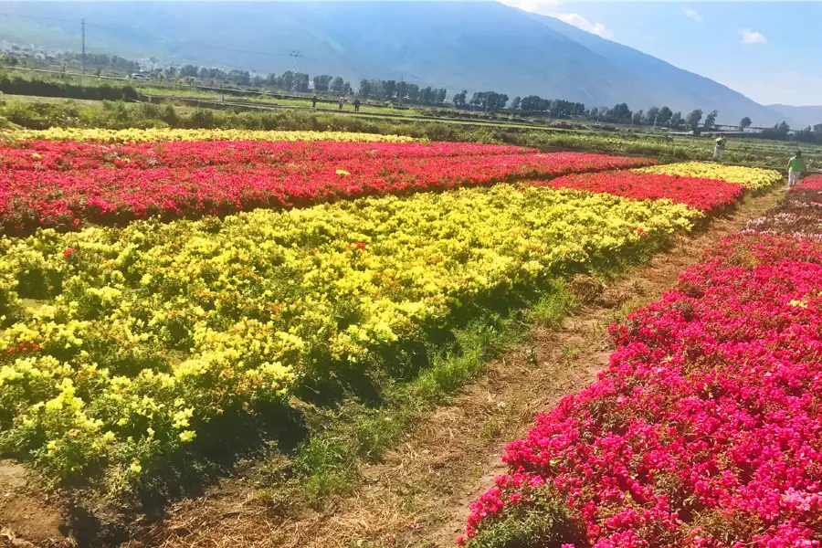 花語牧場