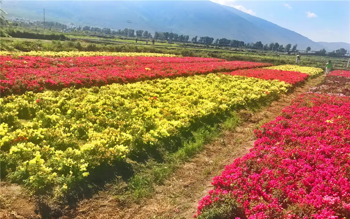 Hotels near Huayu Ranch