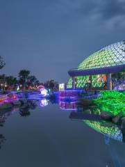 大陽山國家森林公園植物園景區