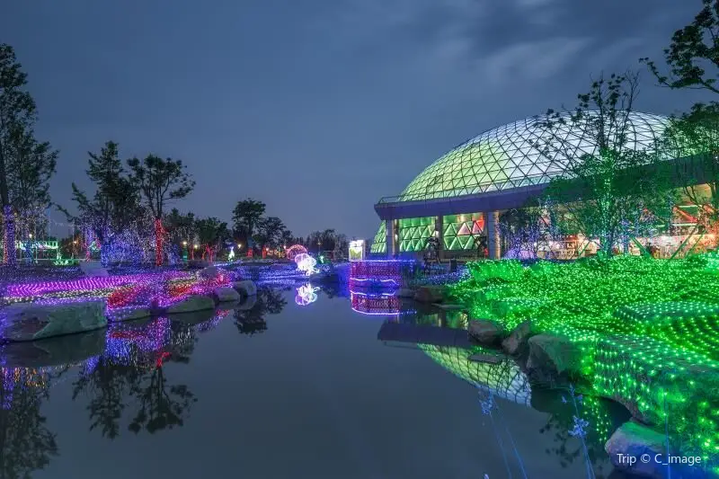 大陽山國家森林公園植物園景區