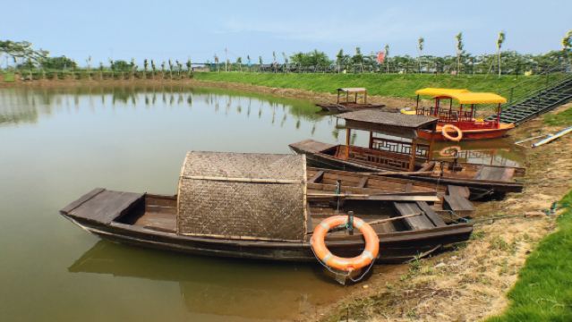 Foshan Private Guided One-Day Tour Pingsha Island Sanxiang Village Ancient Water Dou Nanhaiwan Forest Ecological Park