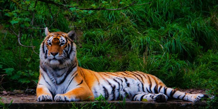 Ningbo Wildlife Park