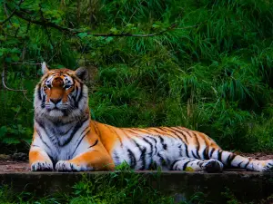 寧波野生動物園