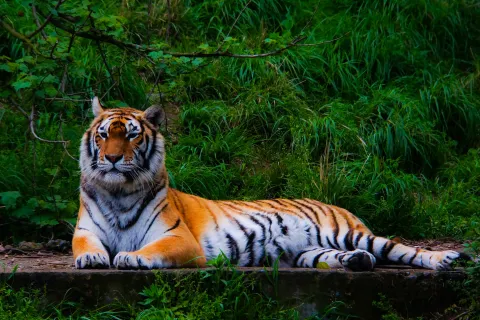 Ningbo Wildlife Park