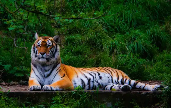 鄰近寧波野生動物園的酒店