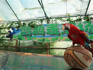 Longsha Zoological and Botanical Gardens