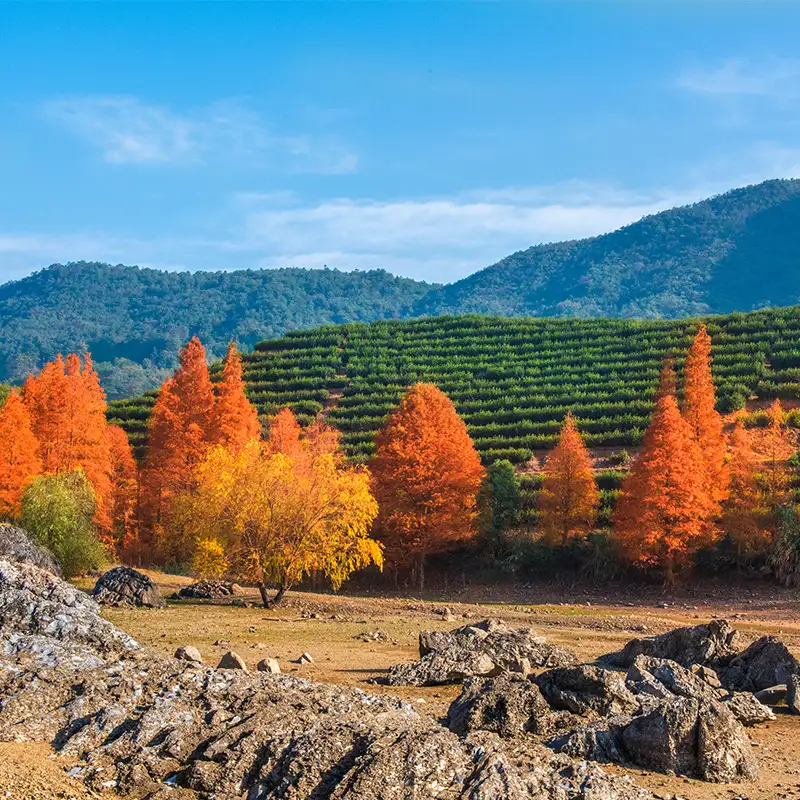 3_Shuanglong Scenic Area