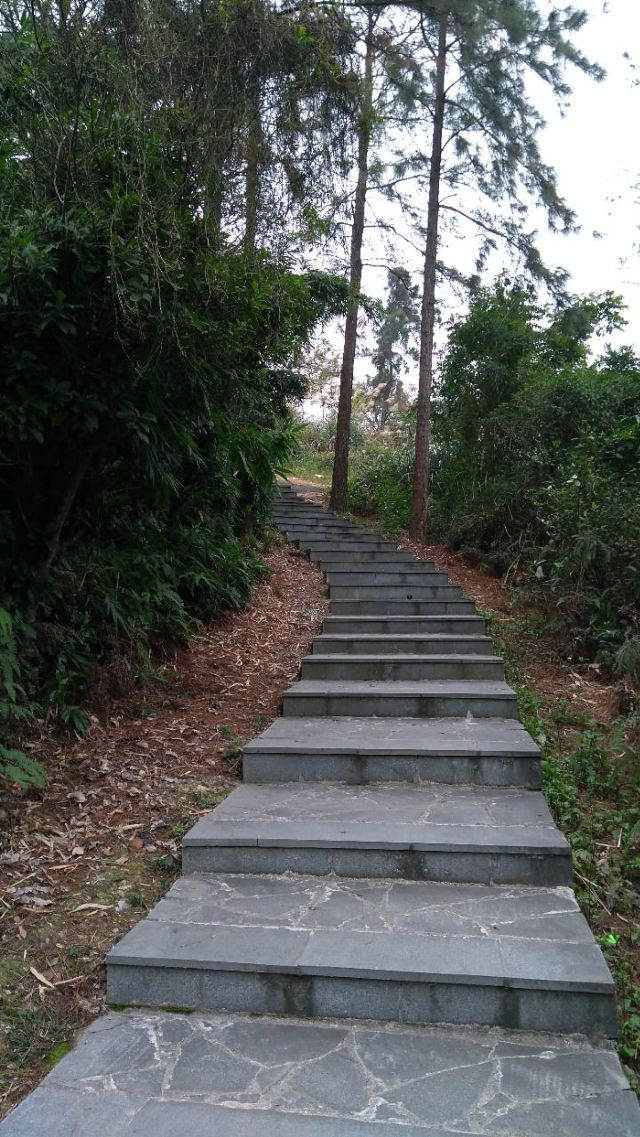 Xiandao Park (Southeast Gate)