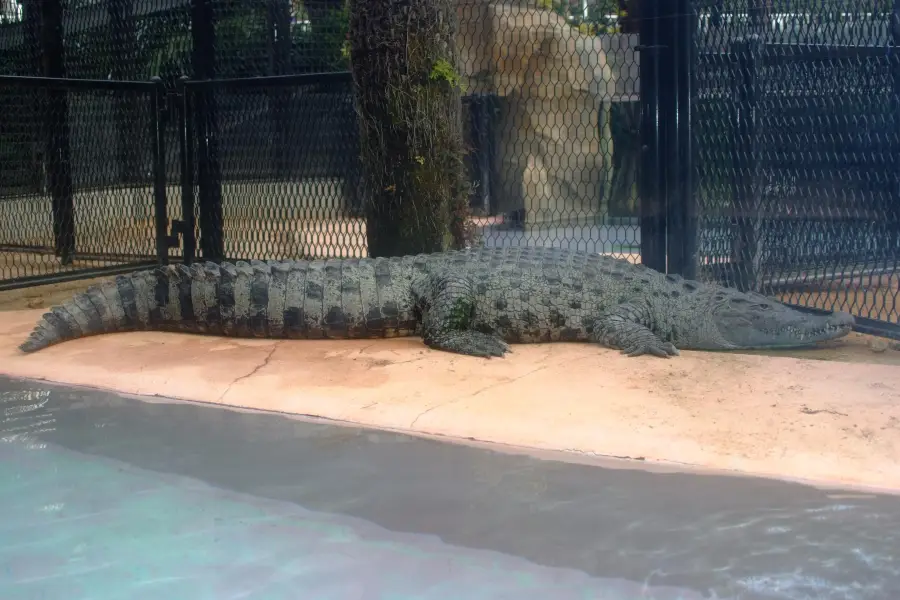 熱川バナナワニ園