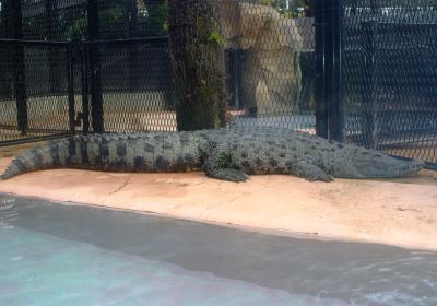 Atagawa Tropical & Alligator Garden