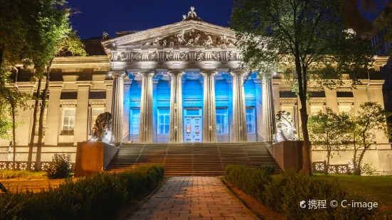 National Art Museum of Ukraine