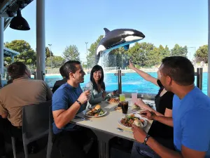 SeaWorld 샌디에고