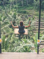 Bali Swing