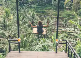 Bali Swing