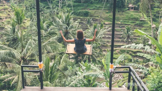 Bali Swing